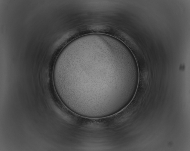 X0000091560734200708311414