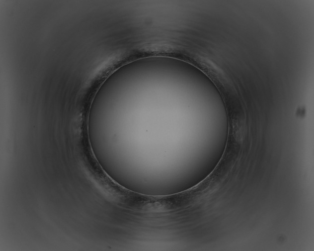 X0000091560735200708311414