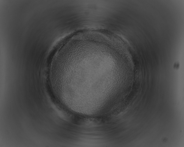 X0000091560736200708311414