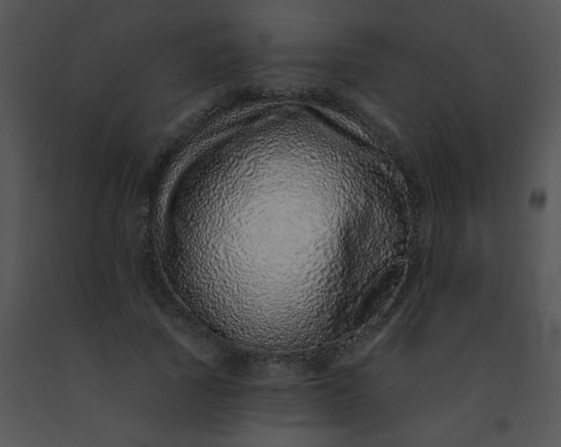 X0000091560737200708311414