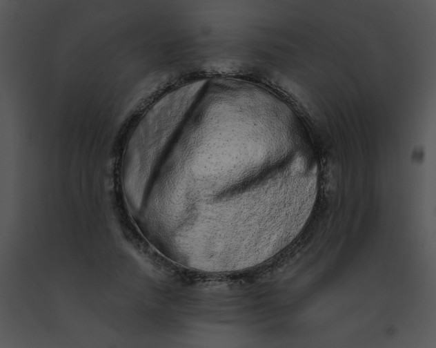 X0000091560738200708311414