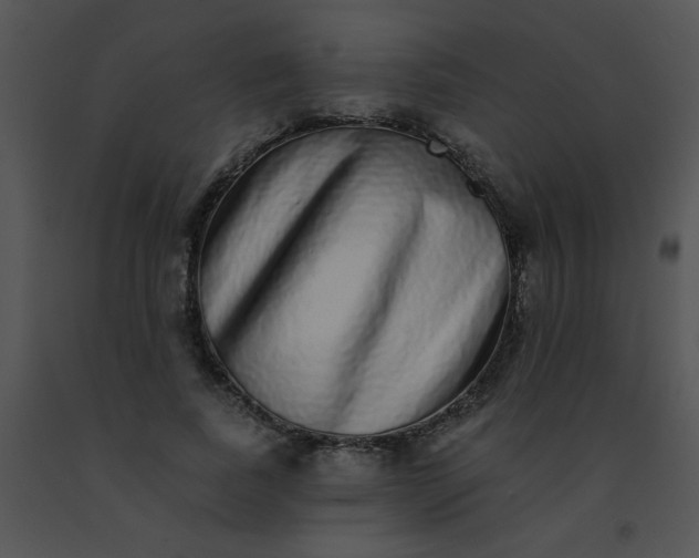 X0000091560739200708311414