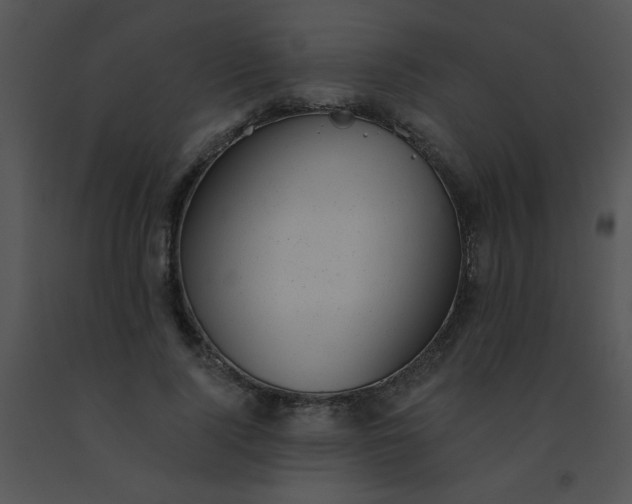 X0000091560740200708311414