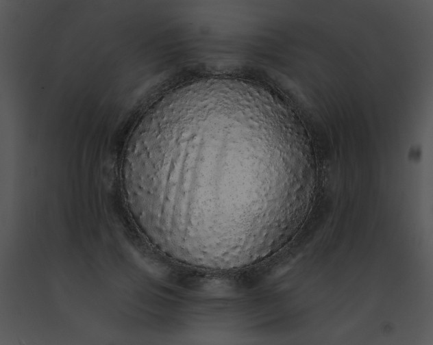 X0000091560741200708311414