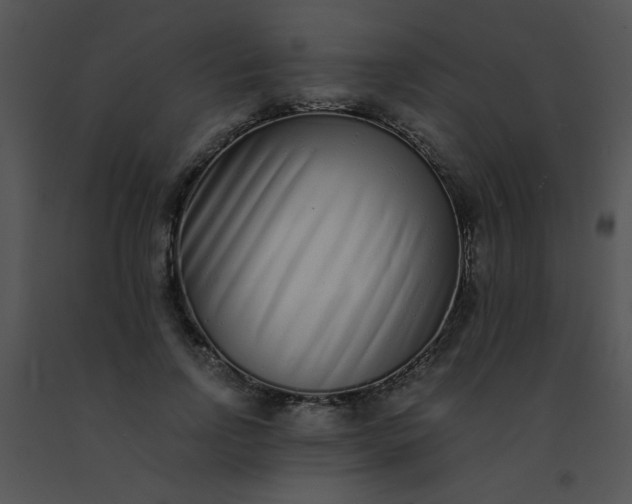 X0000091560742200708311414