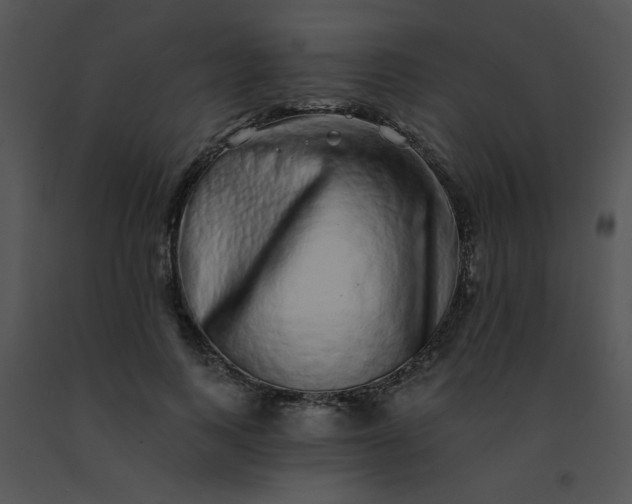 X0000091560743200708311414