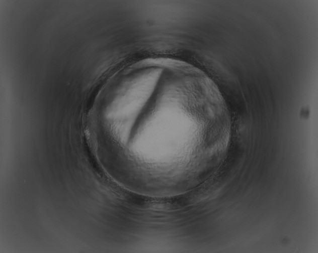 X0000091560746200708311414