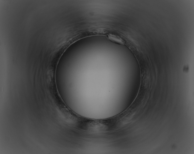 X0000091560747200708311414