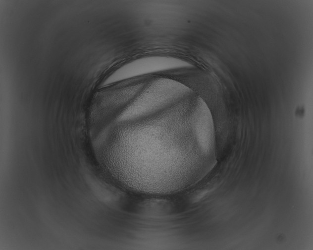 X0000091560748200708311414