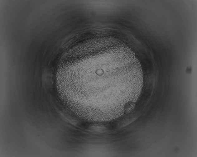 X0000091560749200708311414