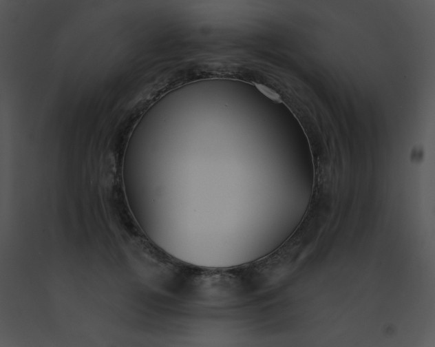 X0000091560752200708311414