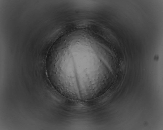 X0000091560753200708311414