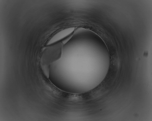 X0000091560754200708311414