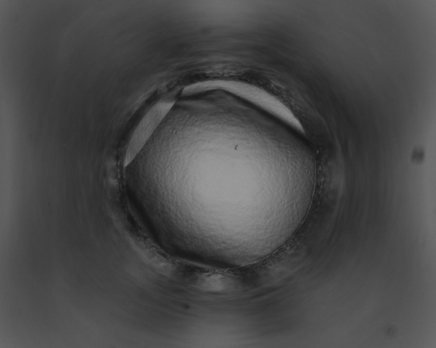 X0000091560755200708311414