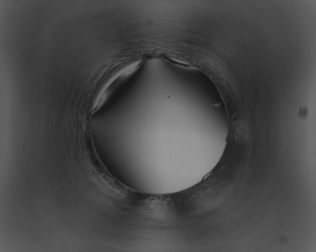 X0000091560756200708311414