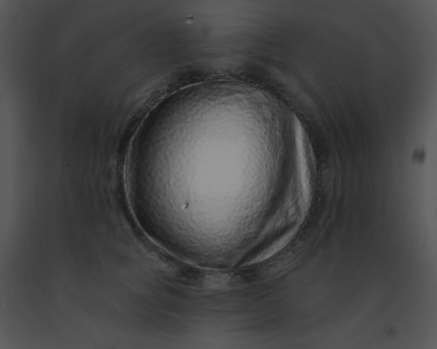 X0000091560757200708311414