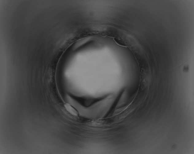 X0000091560758200708311415