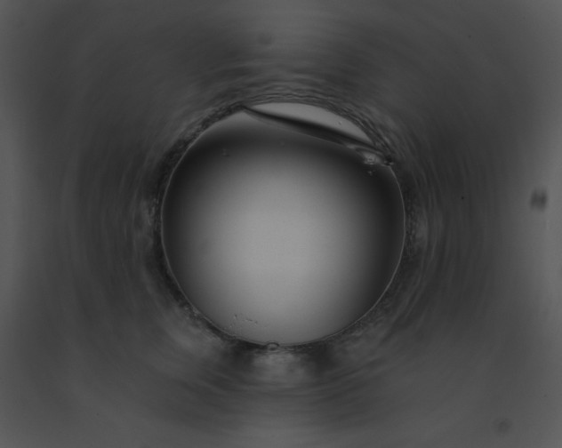 X0000091560759200708311415