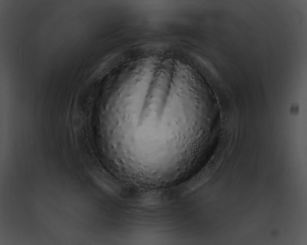 X0000091560761200708311415