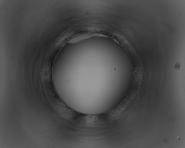 X0000091560762200708311415