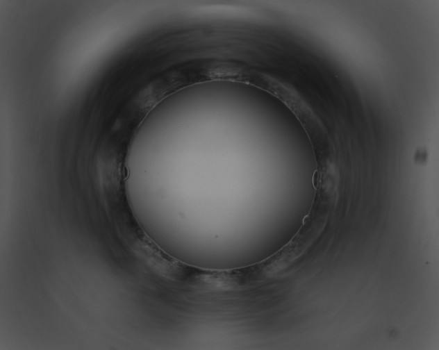 X0000091560763200708311415