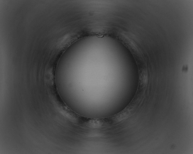 X0000091560764200708311415