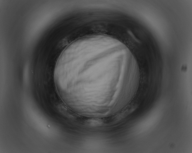 X0000091560765200708311415