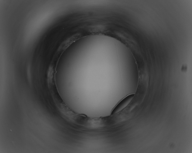 X0000091560767200708311415