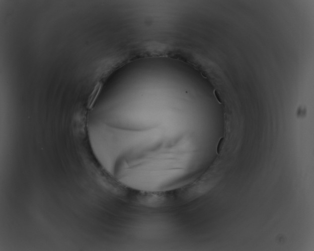 X0000091560768200708311415