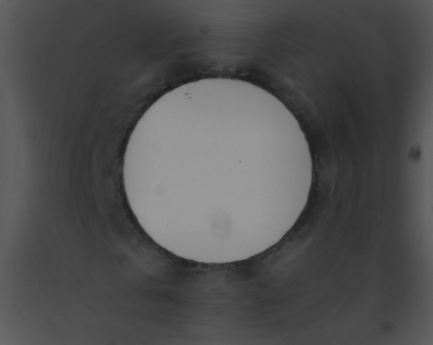 X0000091560769200708311414