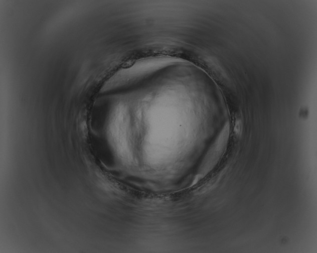 X0000091560771200708311414