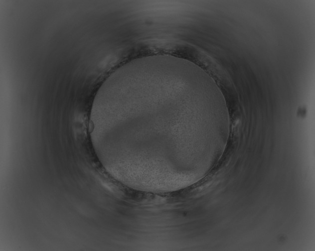 X0000091560772200708311414