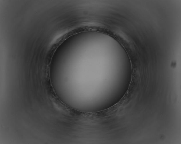 X0000091560775200708311414