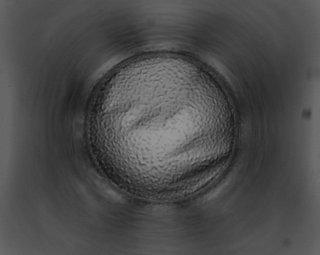 X0000091560778200708311414