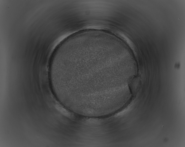 X0000091560779200708311414