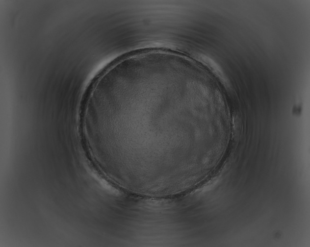 X0000091560780200708311414