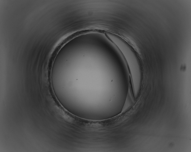 X0000091560784200708311414