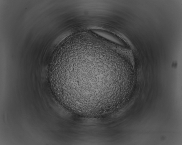 X0000091560785200708311414