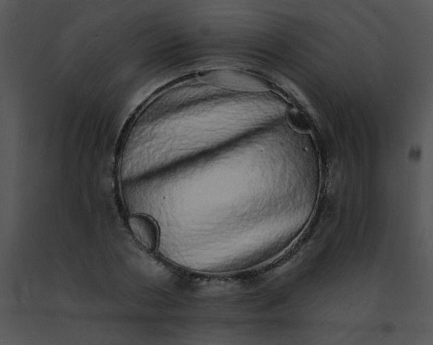 X0000091560786200708311414