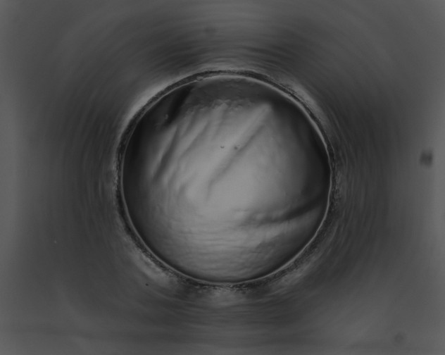 X0000091560787200708311414