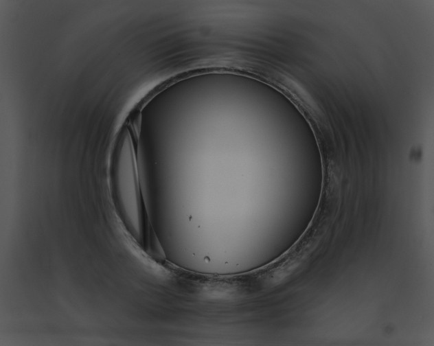 X0000091560788200708311414