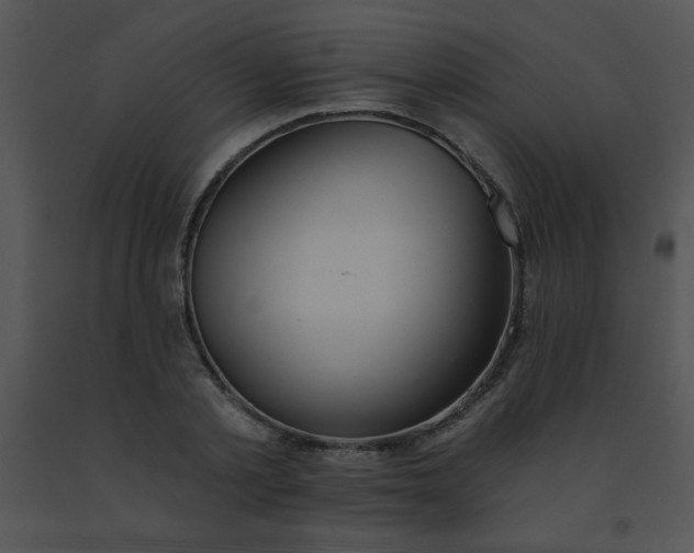 X0000091560789200708311414