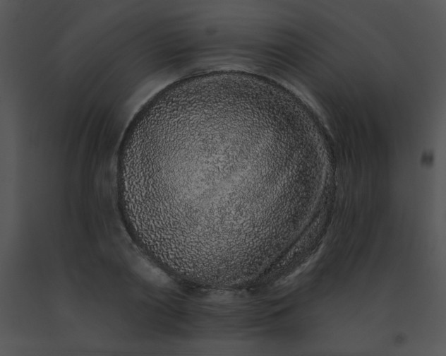 X0000091560790200708311414