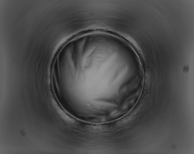 X0000091560791200708311414