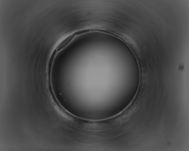 X0000091560792200708311414