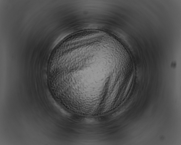 X0000091560794200708311414