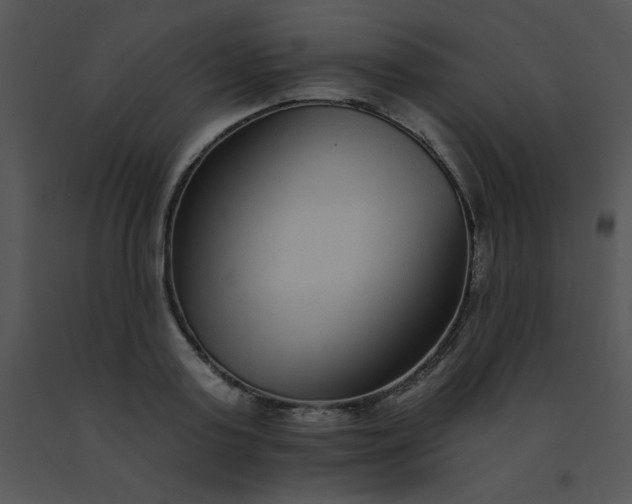 X0000091560795200708311414