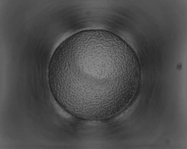 X0000091560797200708311414