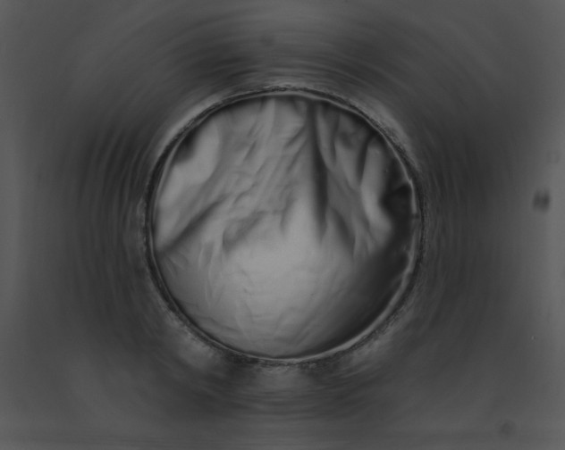 X0000091560798200708311414