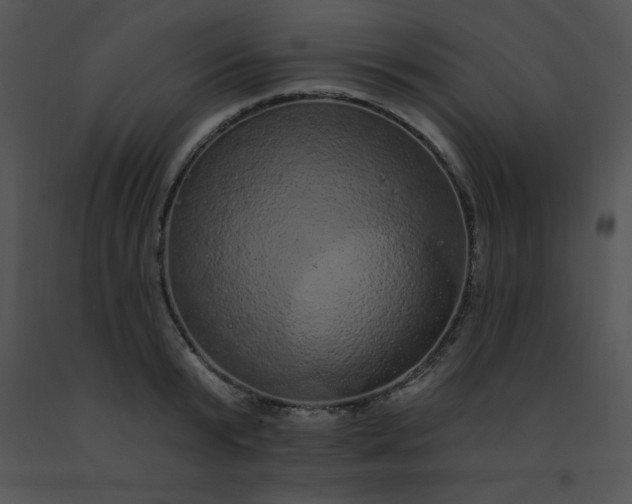 X0000091560799200708311414